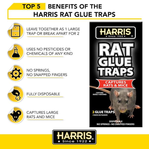 TRAPS - Lay 76 Humane Foot-hold Trap