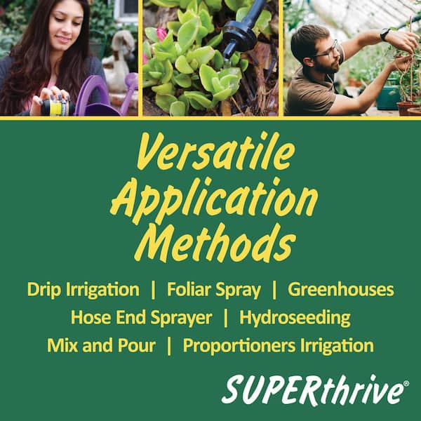 SUPERTHRIVE 4 oz. Vitamin Fertilizer B1 Liquid - and Plant Home The Meal Depot Kelp 100047020