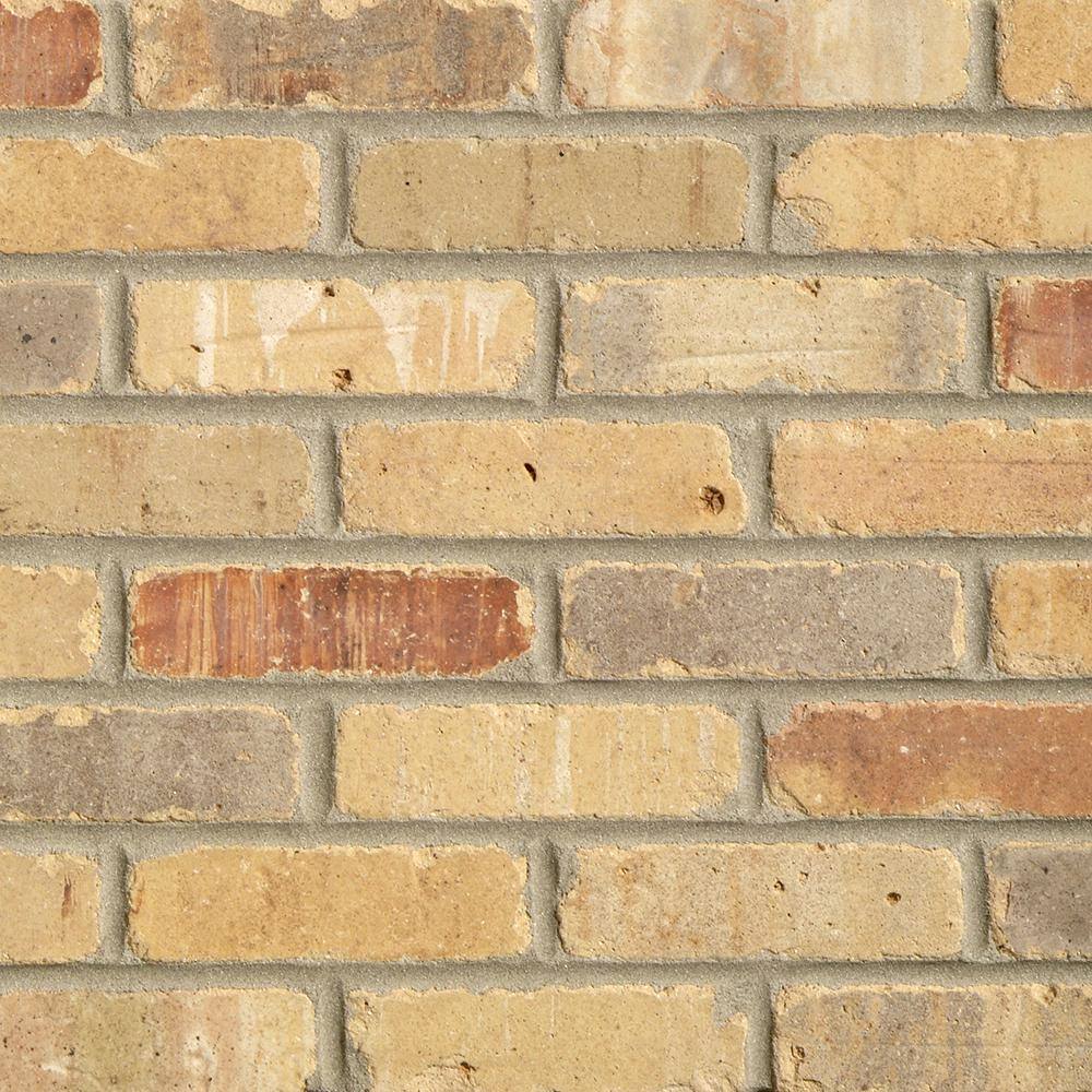 Old Mill Brick Brickwebb Sample Alamo Sunrise 8 in. x 8 in. x 13mm