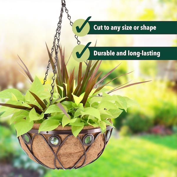 Arcadia Garden Products Emerald 16 in. Black Metal Coconut Hanging