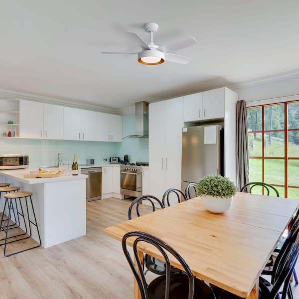 Avex 42 in. White Standard Downrod Mount Ceiling Fan with Remote Control and Dimmable Integrated LED