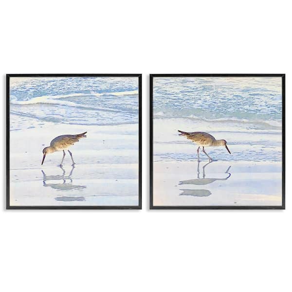 Stupell Industries Seaside Sandpiper Birds by Christine Zalewski 2-Pieces Black Framed Coastal Giclee Art Print 17 in. x 17 in.