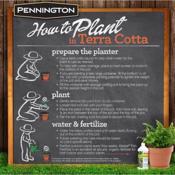 Pennington - 9.5 in. Medium Clay Terra Cotta Pot