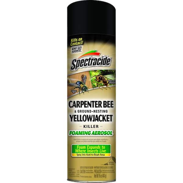 Spectracide 16 oz. Aerosol Carpenter Bee and Ground-Nesting Yellow jacket Killer Foam