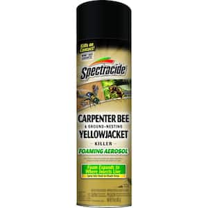 Spectracide 16 Oz. Aerosol Carpenter Bee And Ground-Nesting Yellow Jacket Killer Foam