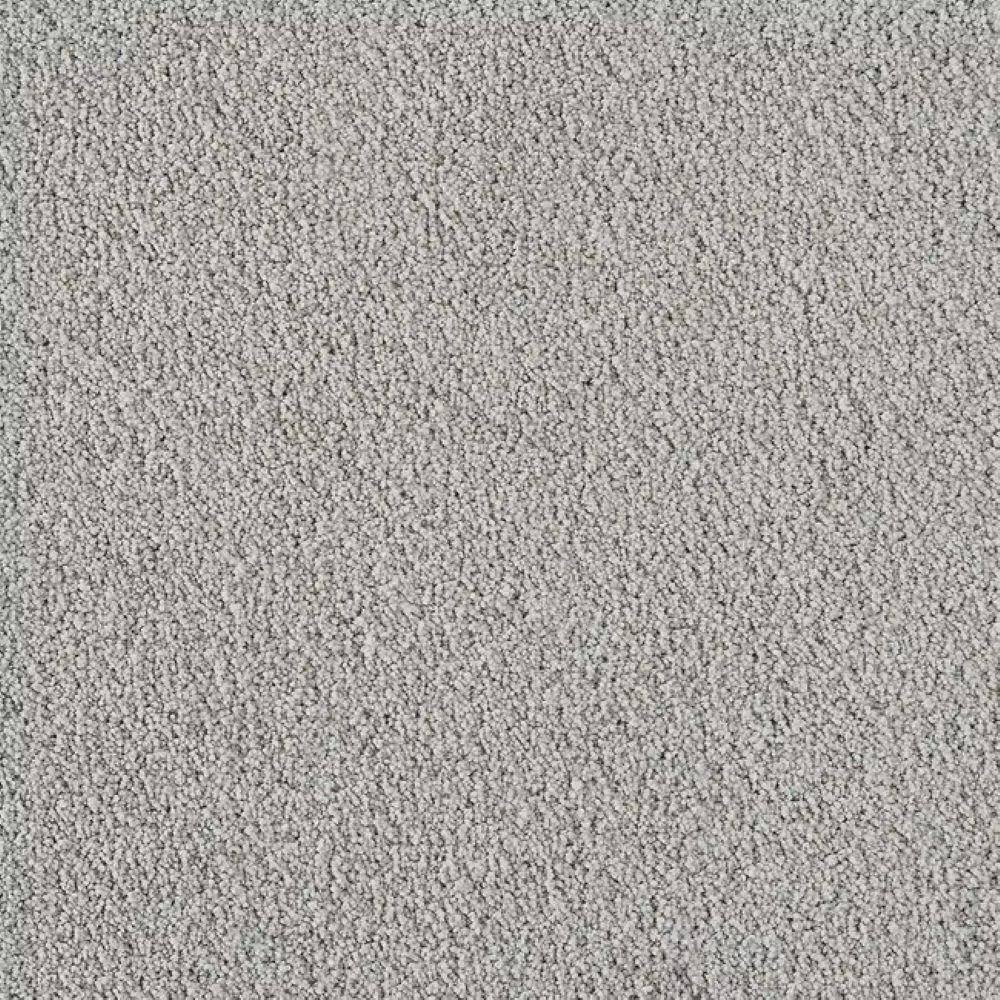 8 in. x 8 in. Texture Carpet Sample-Velvetine I-Color Star price history on PriceWatchPro