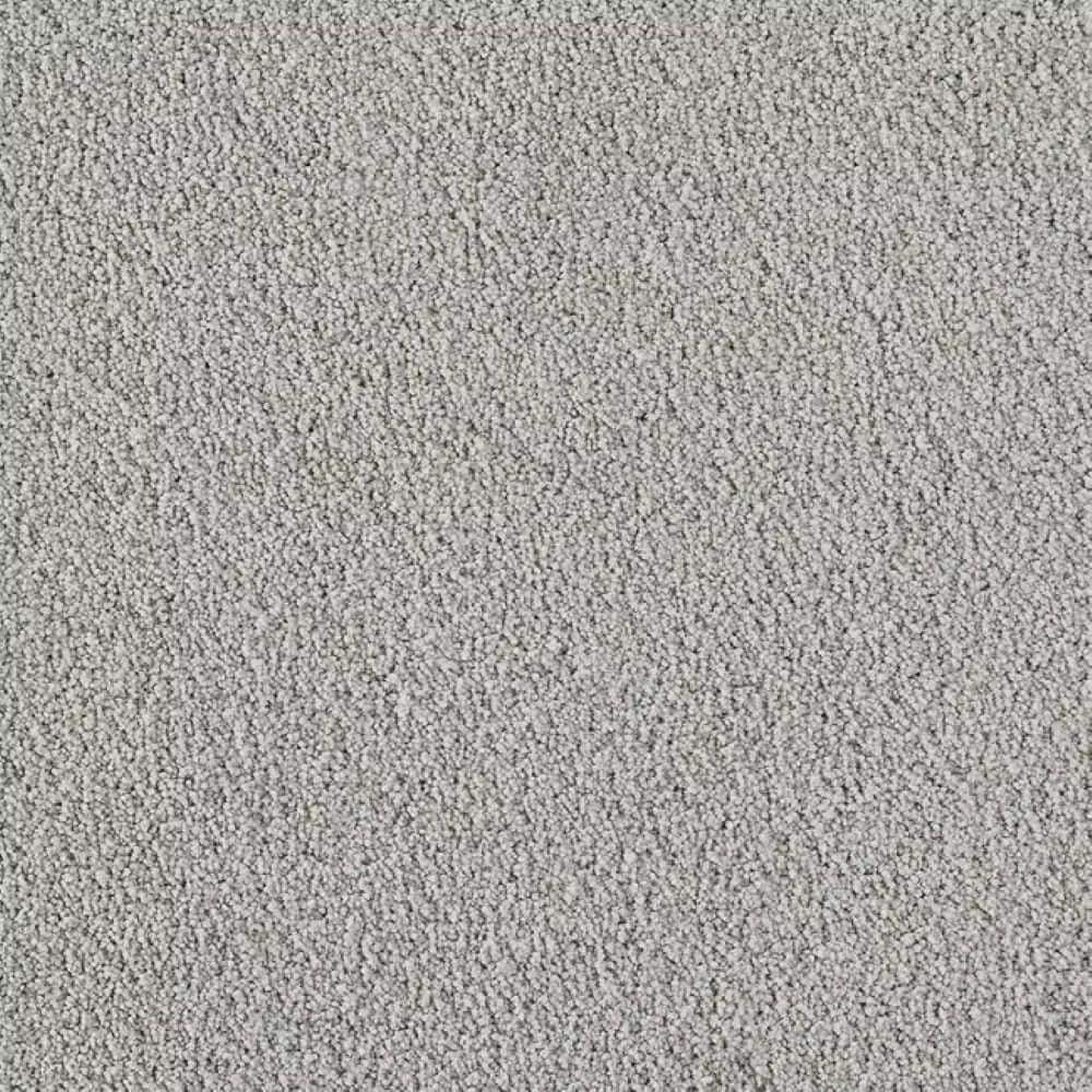 8 in. x 8 in. Texture Carpet Sample-Velvetine II-Color Star price history on PriceWatchPro