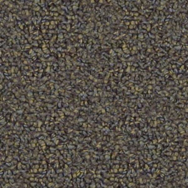 Beaulieu Carpet Sample - Benchmark 22 - In Color Grapevine 8 in. x 8 in.