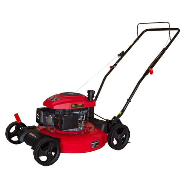PowerSmart 21 in. 161 cc Gas 2-in-1 Walk Behind Push Lawn Mower