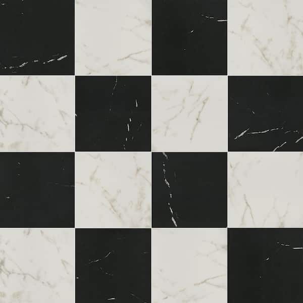 Regency Black and White 12 in. x 12 in. Matte Glazed Porcelain Floor and Wall Tile Combo (22 sq. ft./2-Cases)
