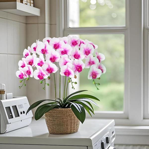 38 in. Pink Indoor Artificial Orchid Flower Z07D13LB4L - The Home