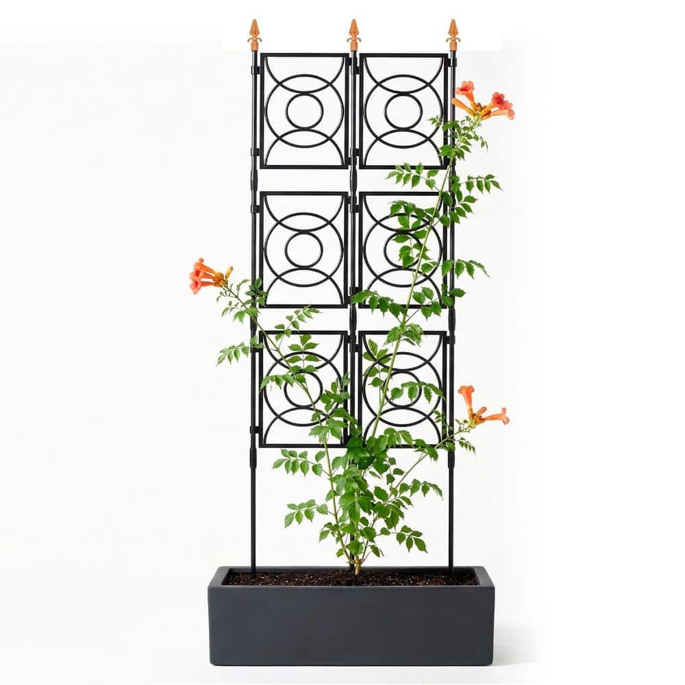 2 ft x 6.2 ft Garden Trellis Strong Support Black 1 Piece price history on PriceWatchPro