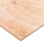 Sanded Plywood (Common: 1/2 in. x 2 ft. x 4 ft.; Actual: 0.451 in. x 23.75 in. x 47.75 in.)