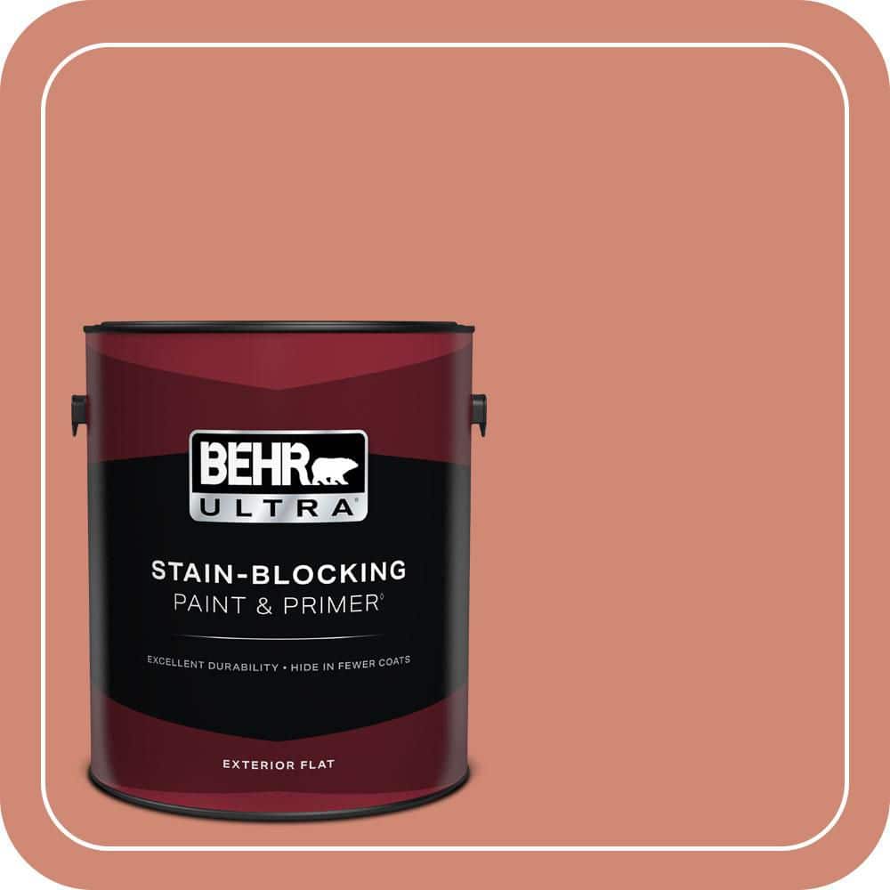 1 gal. Home Decorators Collection #HDC-WR16-02 Rosy Copper Flat Exterior Paint & Primer price history on PriceWatchPro