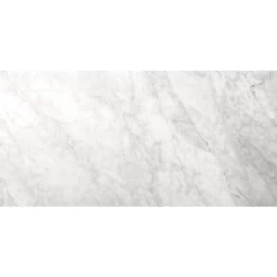 Emser Marble Bianco Gioia Honed 17.99 in. x 17.99 in. Marble Floor and ...