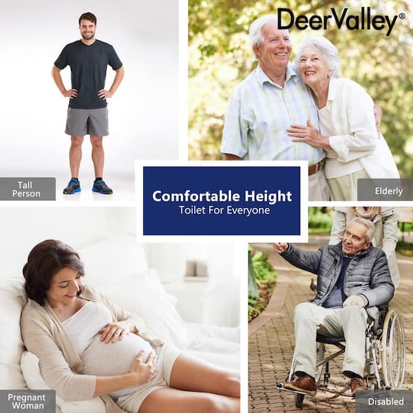 2-Piece 1.1/1.6 GPF Dual flush Elongated 19 in. ADA Comfort Height Toilet in White Map 1000g, Soft-Close Seat Included