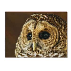 16 in. x 24 in. Barred Owl Portrait Canvas Art