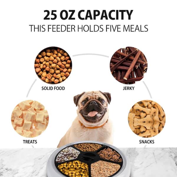 5 Meal Pet Feeder