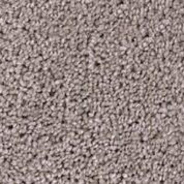 TrafficMaster 8 in. x 8 in. Texture Carpet Sample - Founder -Color Chief