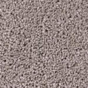 Founder - Chief - Brown 18 oz. SD Polyester Texture Installed Carpet