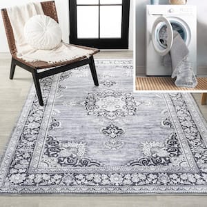 Gray/White 3 ft. x 5 ft. Bausch Bohemian Distressed Chenille Machine-Washable Area Rug