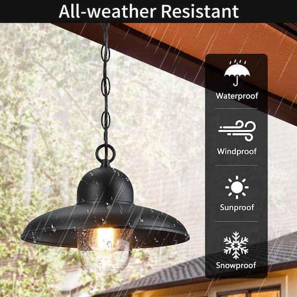 pasentel Farmhouse 9.75 in. 1-Light Black Outdoor Pendant Light