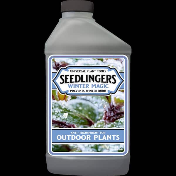 32 oz. Winter Magic Anti Transpirant Quart Concentrate