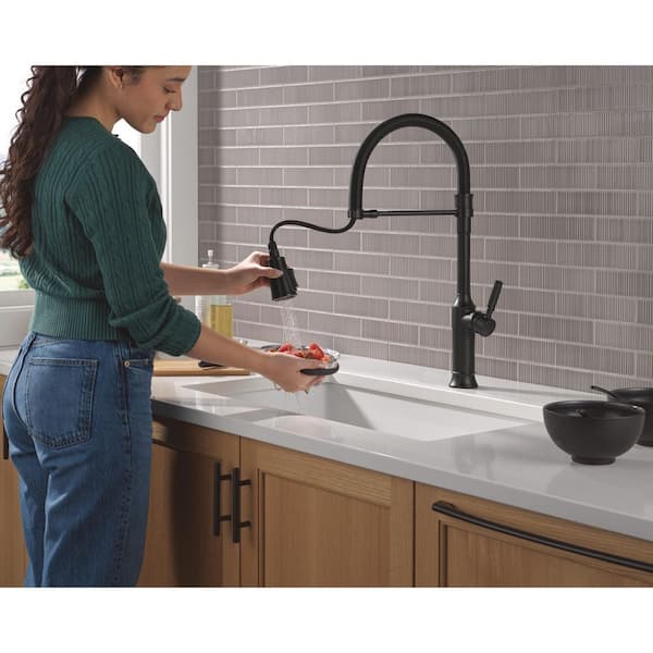 Delta Renaldi Spring Spout Matte Black 22.63 in. H Pull Down