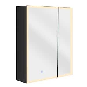 32 in. W x 30 in. H Rectangular LED Lighted Double Door Surface Wall Mount Black Medicine Cabinet with Mirror