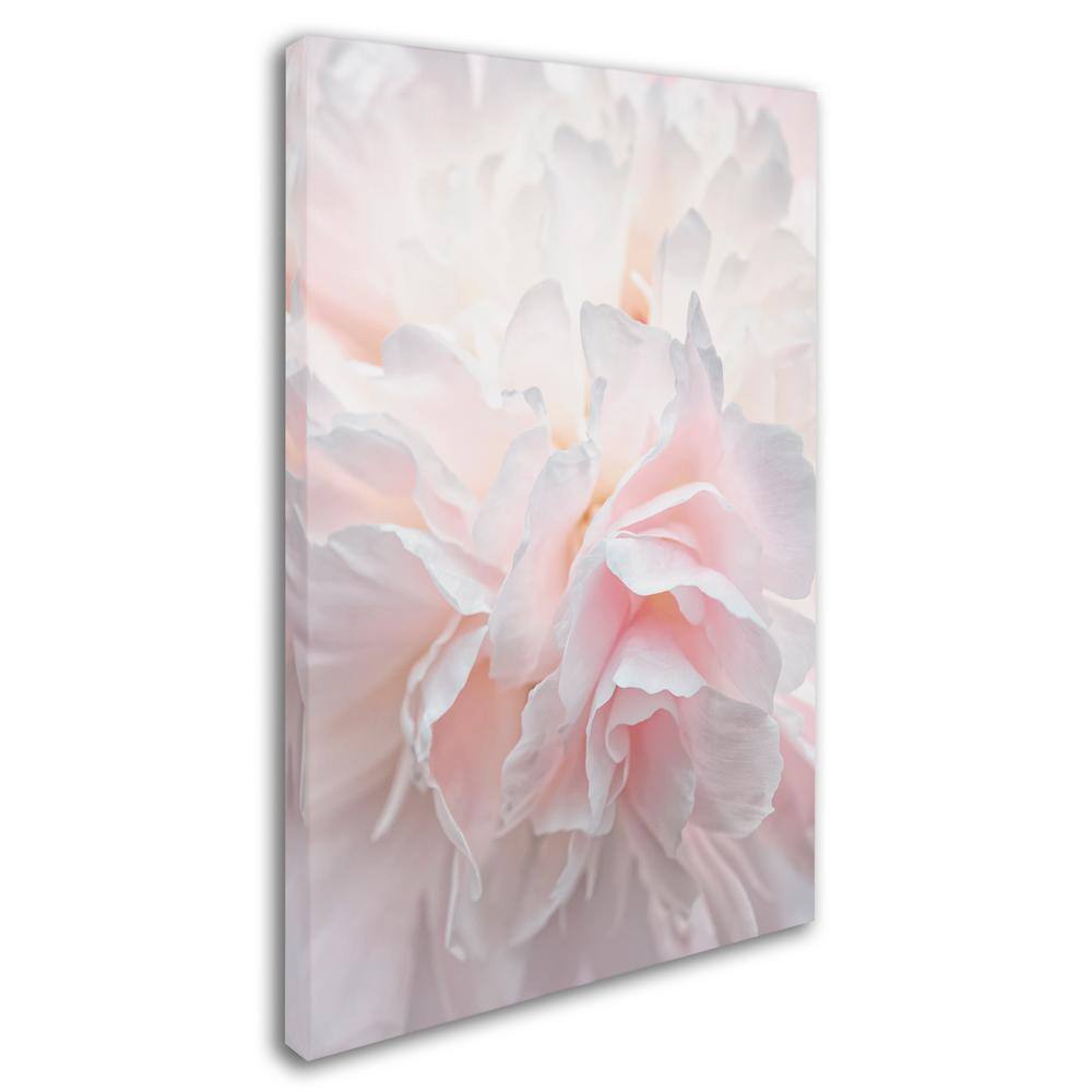 Pink Peony Petals Framed Canvas Art 12" x 19"