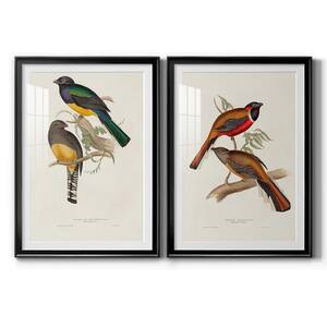 Elegant Trogons V By Wexford Homes 2-Pieces Framed Abstract Paper Art Print 26.5 in. x 36.5 in.