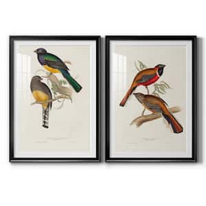 Elegant Trogons V By Wexford Homes 2-Pieces Framed Abstract Paper Art Print 22.5 in. x 30.5 in.