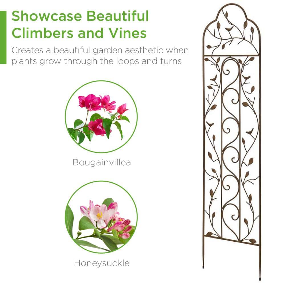 Bronze Iron Arched Garden Trellis with Bird and Branch Design