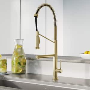 Novuet Single-Handle Pull-Down Sprayer Kitchen Faucet with Pot Filler in Brushed Gold