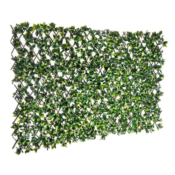 NATURAE DECOR Expandable Willow Trellis Hedges 36 in. X 72 in. Gardenia Artificial Leaf