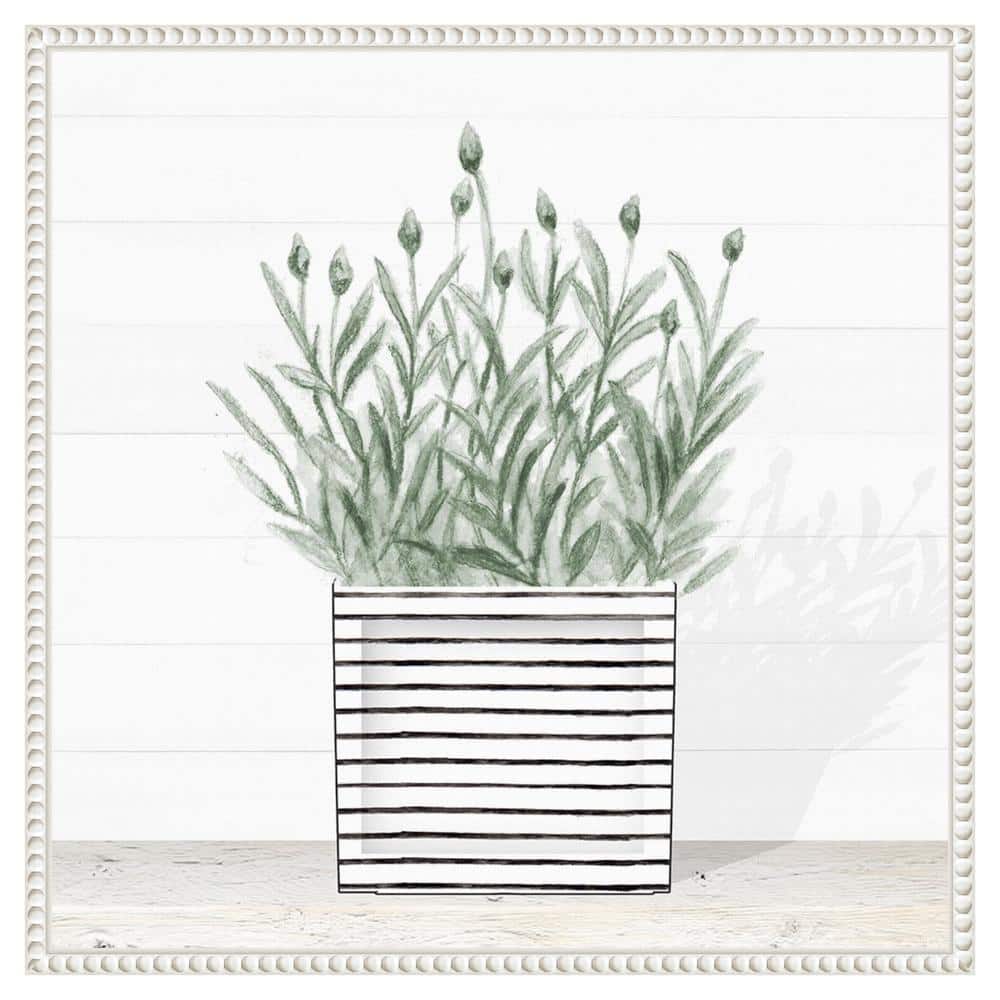 Lavender Blossom in Striped Pot Canvas Wall Art with White Frame
