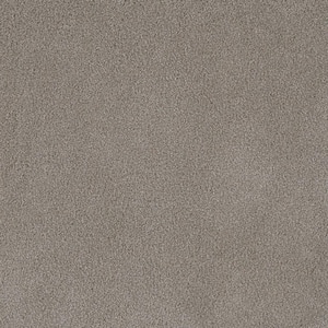 First Class II - Garden - Beige 50 oz. SD Polyester Texture Installed Carpet