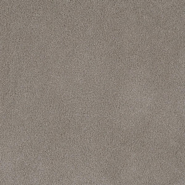 Home Decorators Collection First Class II - Garden - Beige 50 oz. SD Polyester Texture Installed Carpet