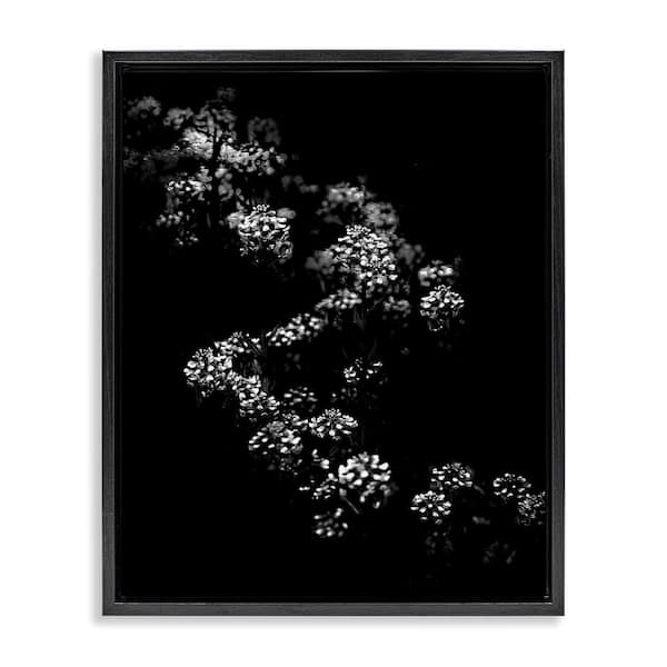 Stupell Industries Curved Blossom Line by Brian Carson Black Floater Frame Nature Graphic Art Print 21 in. x 17 in.