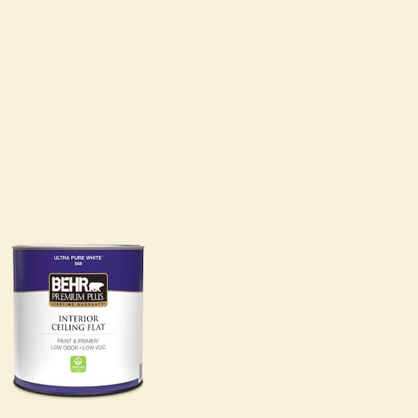 1 qt. #390E-1 Cosmic Dust Ceiling Flat Interior Paint