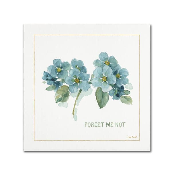 Trademark Fine Art 24 in. x 24 in. "My Greenhouse Forget Me Not" by Lisa Audit Printed Canvas Wall Art