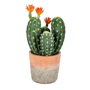 14 in. in Green Artificial Cactus in. in Clay Pot