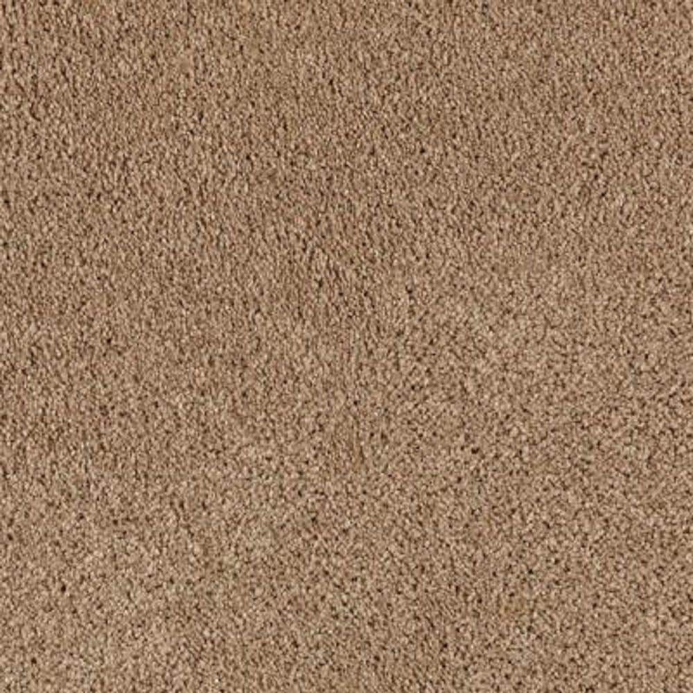 8 in. x 8 in. Texture Carpet Sample - Ambrosina II -Color Montebello price history on PriceWatchPro