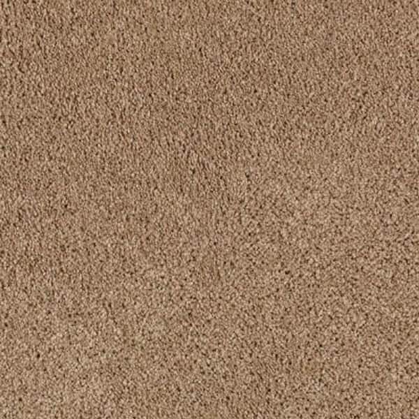 Lifeproof 8 in. x 8 in. Texture Carpet Sample - Ambrosina II -Color Montebello