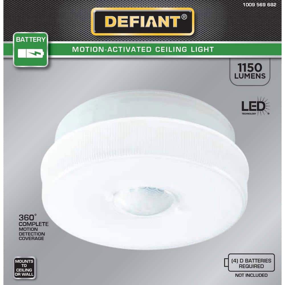White Textured Glass Medium Indoor/Outdoor LED Flush Mount Light