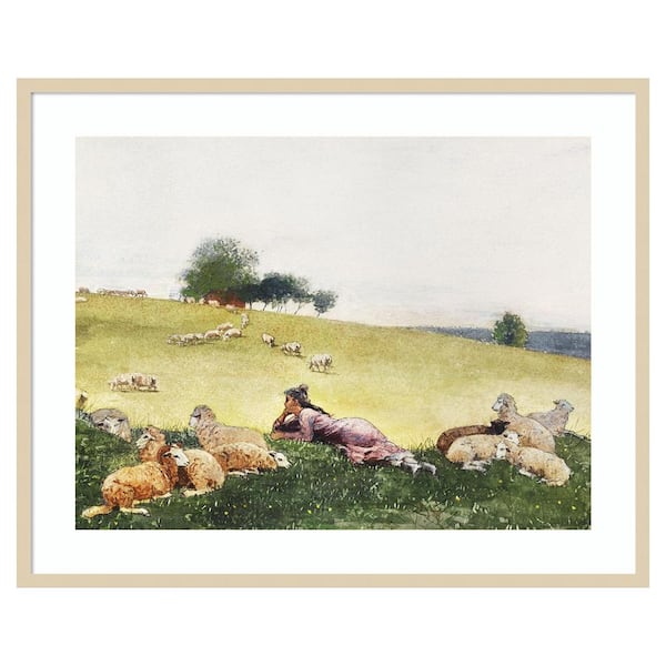 Amanti Art Homers Sheep Countryside II by Winslow Homer 41 in. W x 33 in. H. Wood Framed Wall Art Print Framed in Brown