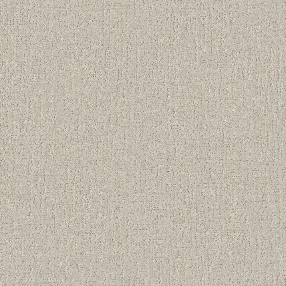 8 in. x 8 in. Pattern Carpet Sample - Lily Hill - Color Pearl price history on PriceWatchPro
