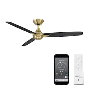 Blitzen 54 in. Indoor/Outdoor 3-Blade Smart Ceiling Fan in Soft Brass/Matte Black with Remote Control