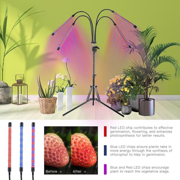 tre Knurre Symptomer Homevenus 4-Heads Full Spectrum LED Grow Lights With Tripod For Indoor  Plants in Red and Blue Color Changing Light GLT04 - The Home Depot