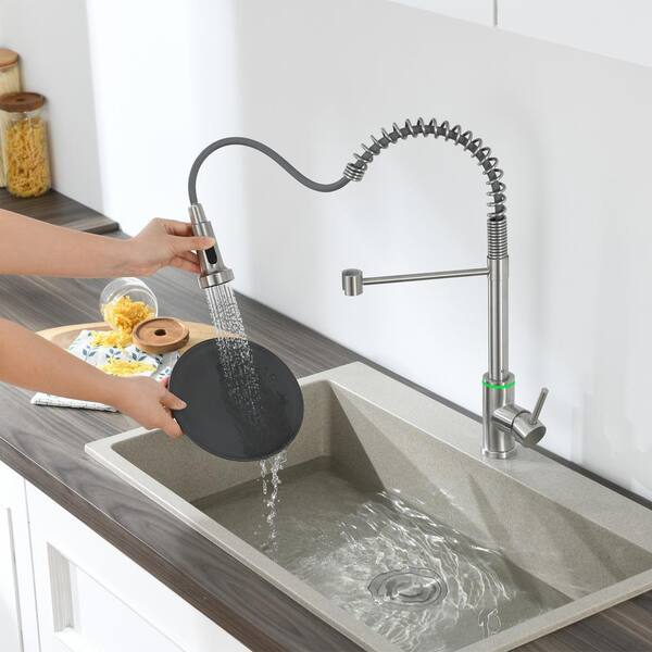 Flynama 19 in Single Handle Pull Down Sprayer Kitchen Faucet with